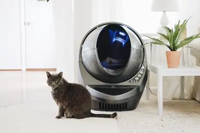 Cat Litter Tracking: Best Vacuum Cleaners In 2021