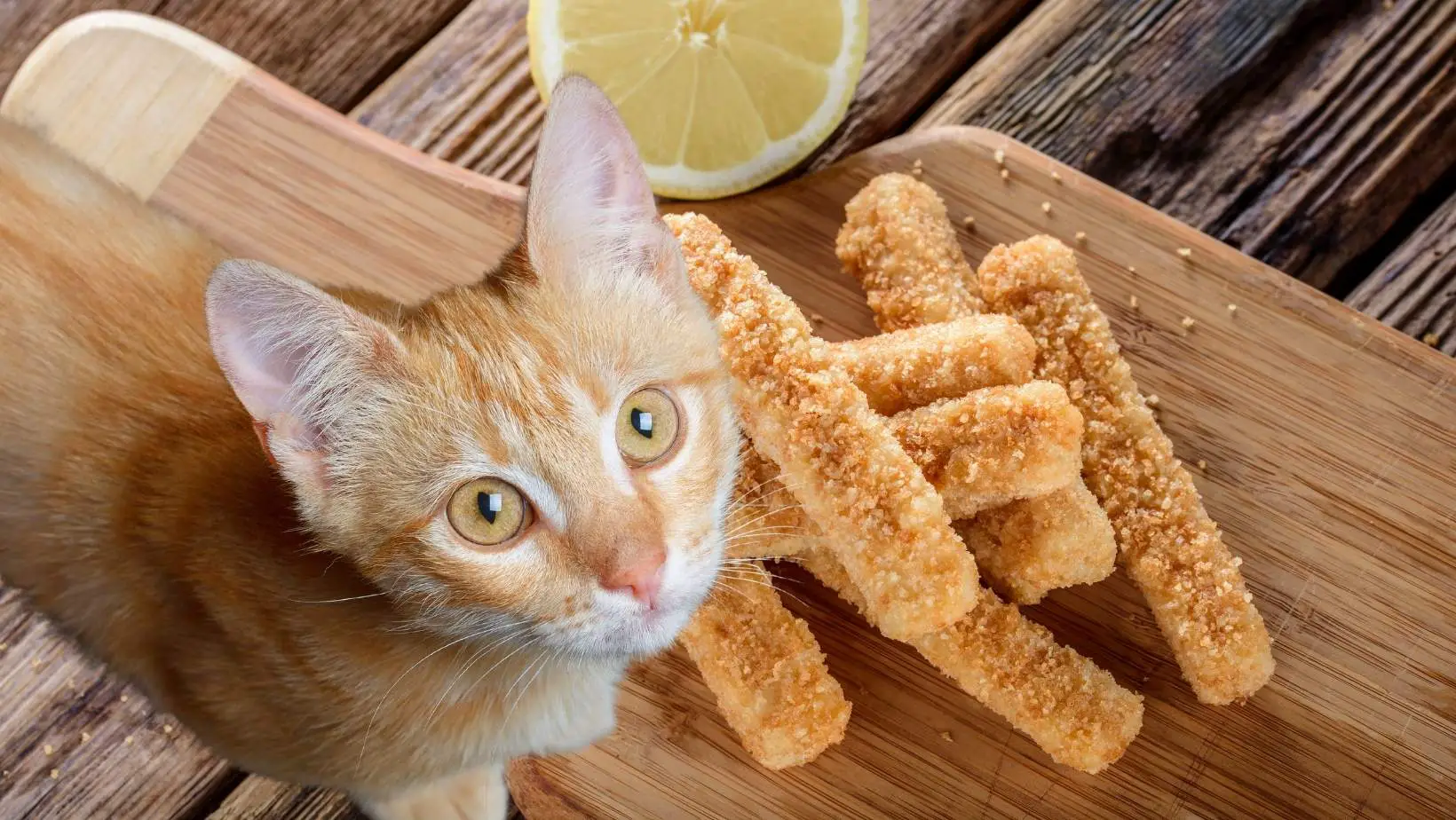 Can Cats Eat Fish Sticks?