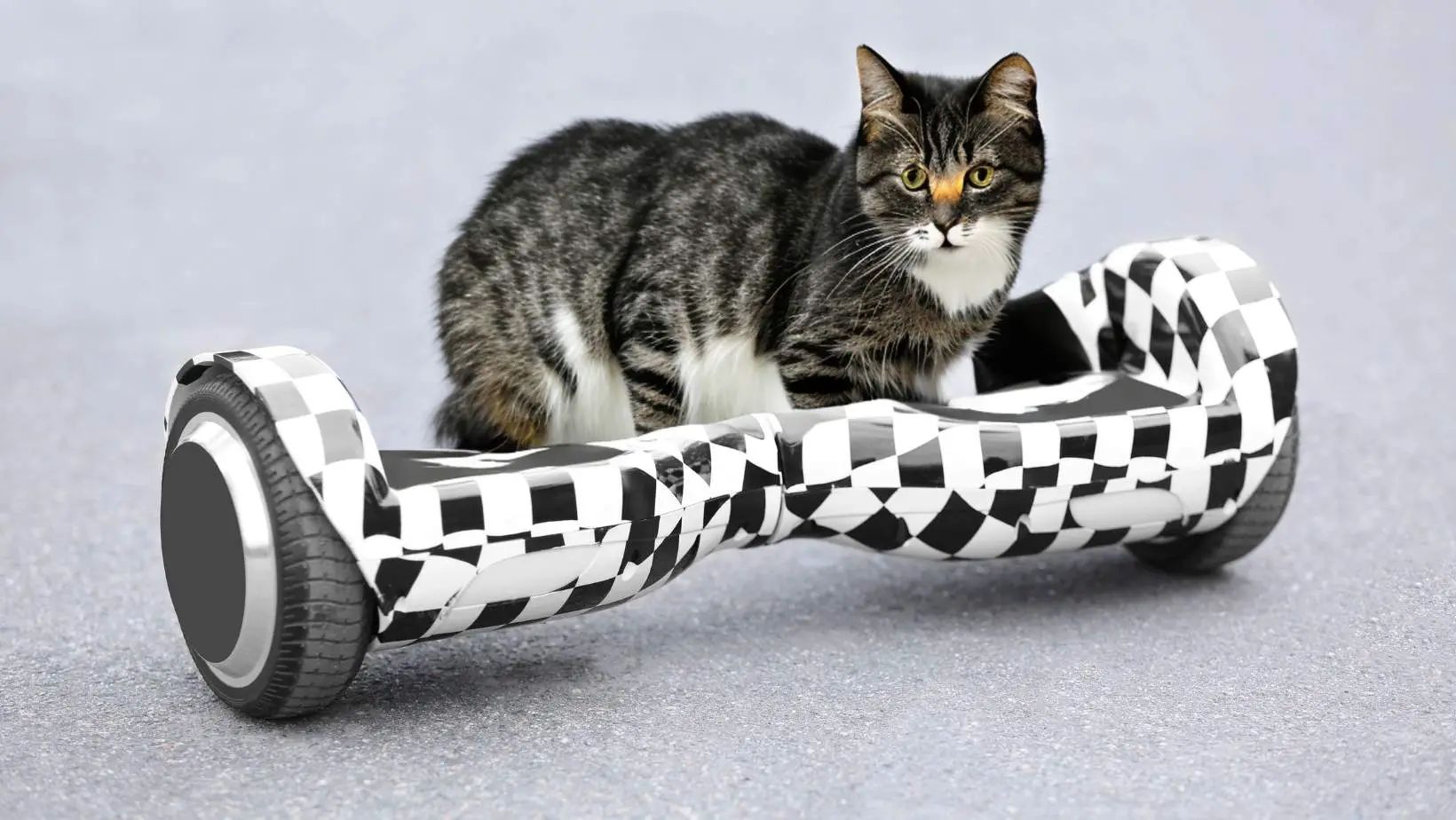 How to Get the Cat Hoverboard?