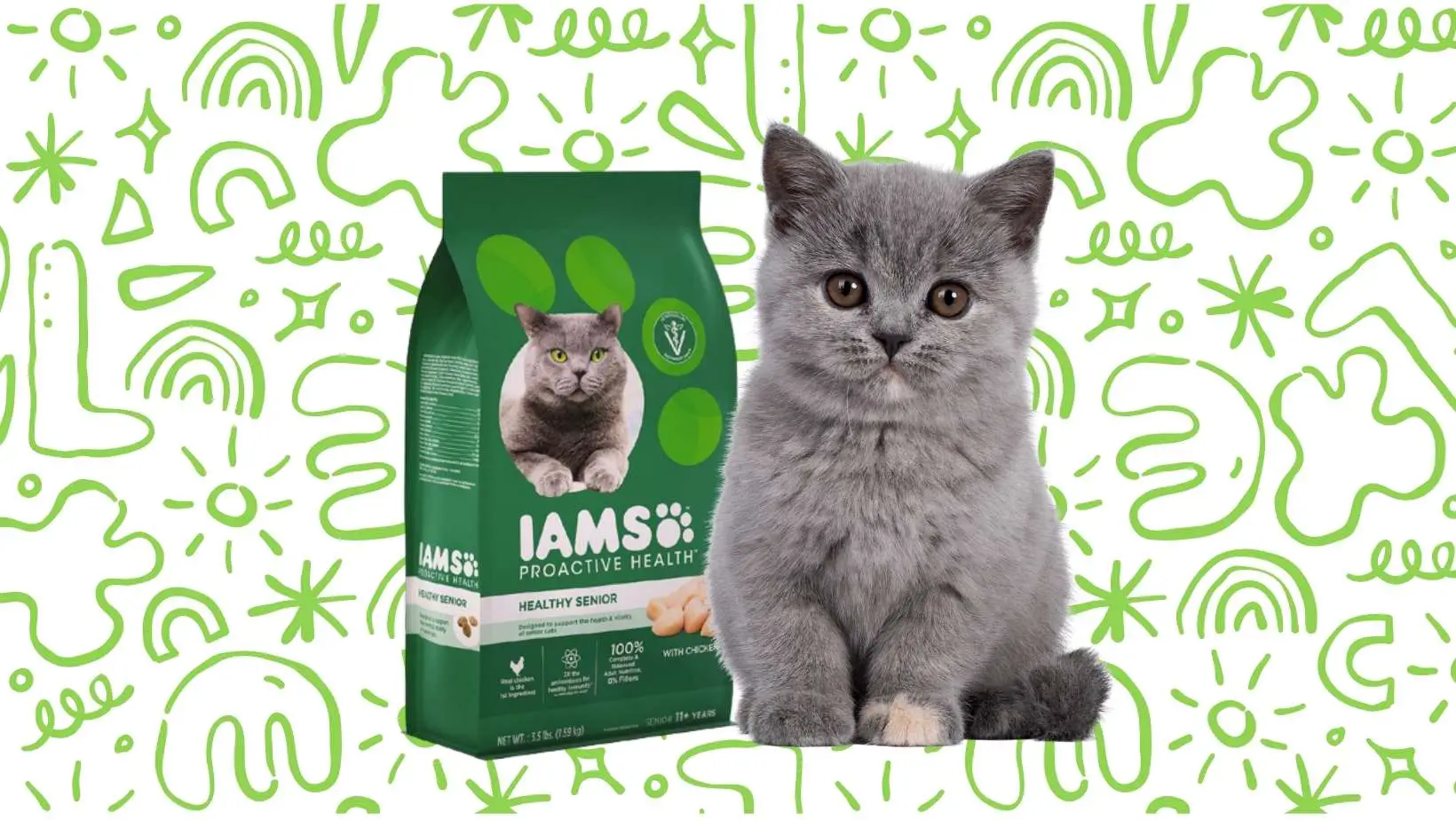 Is Iams Good for Cats?