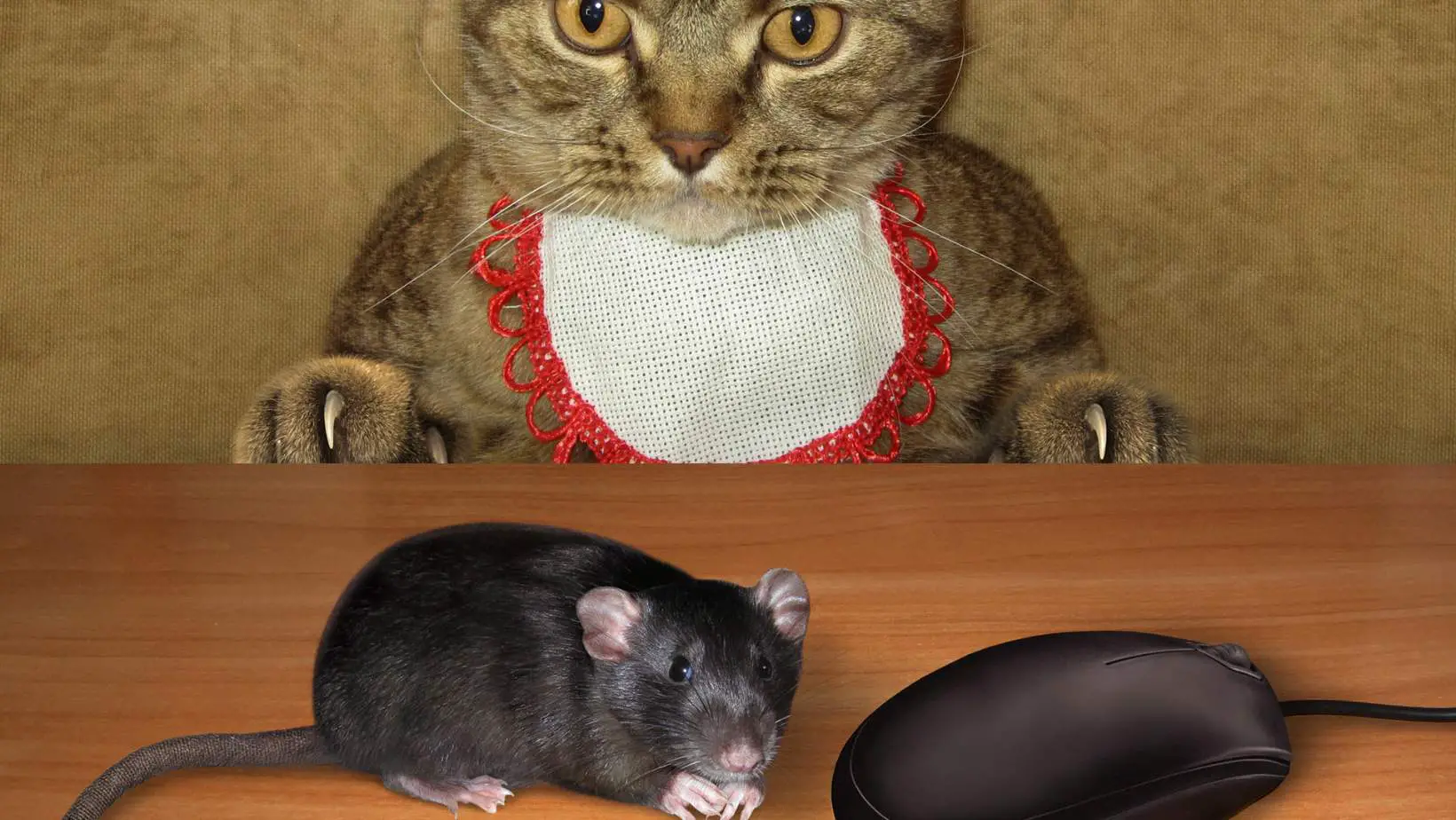 Why Do Cats Eat Mice?