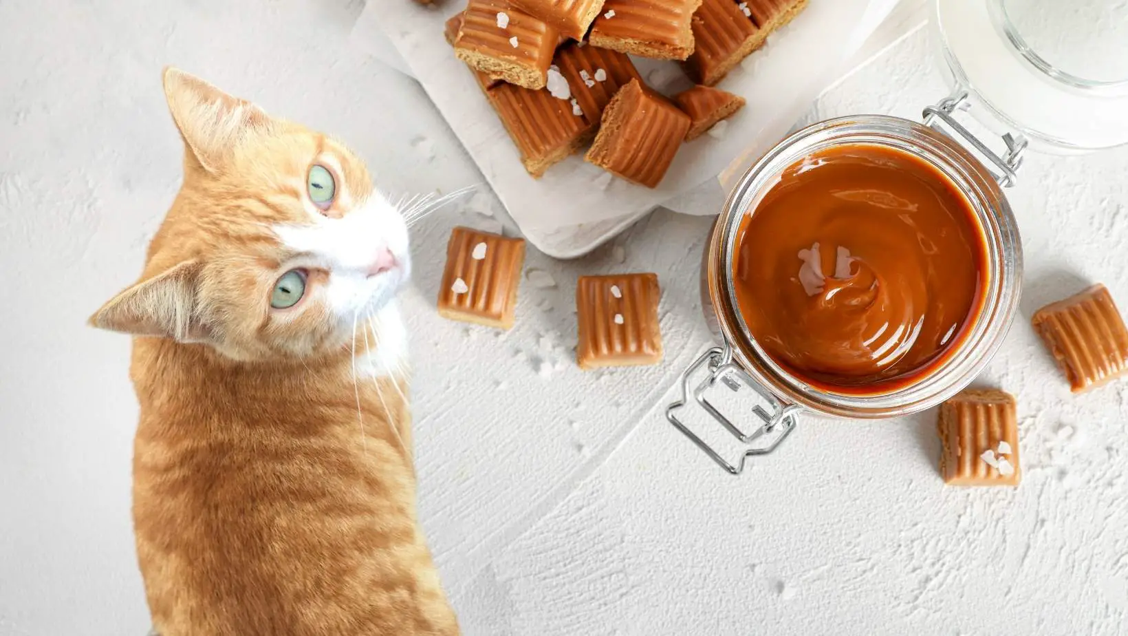 Can Cats Eat Caramel?
