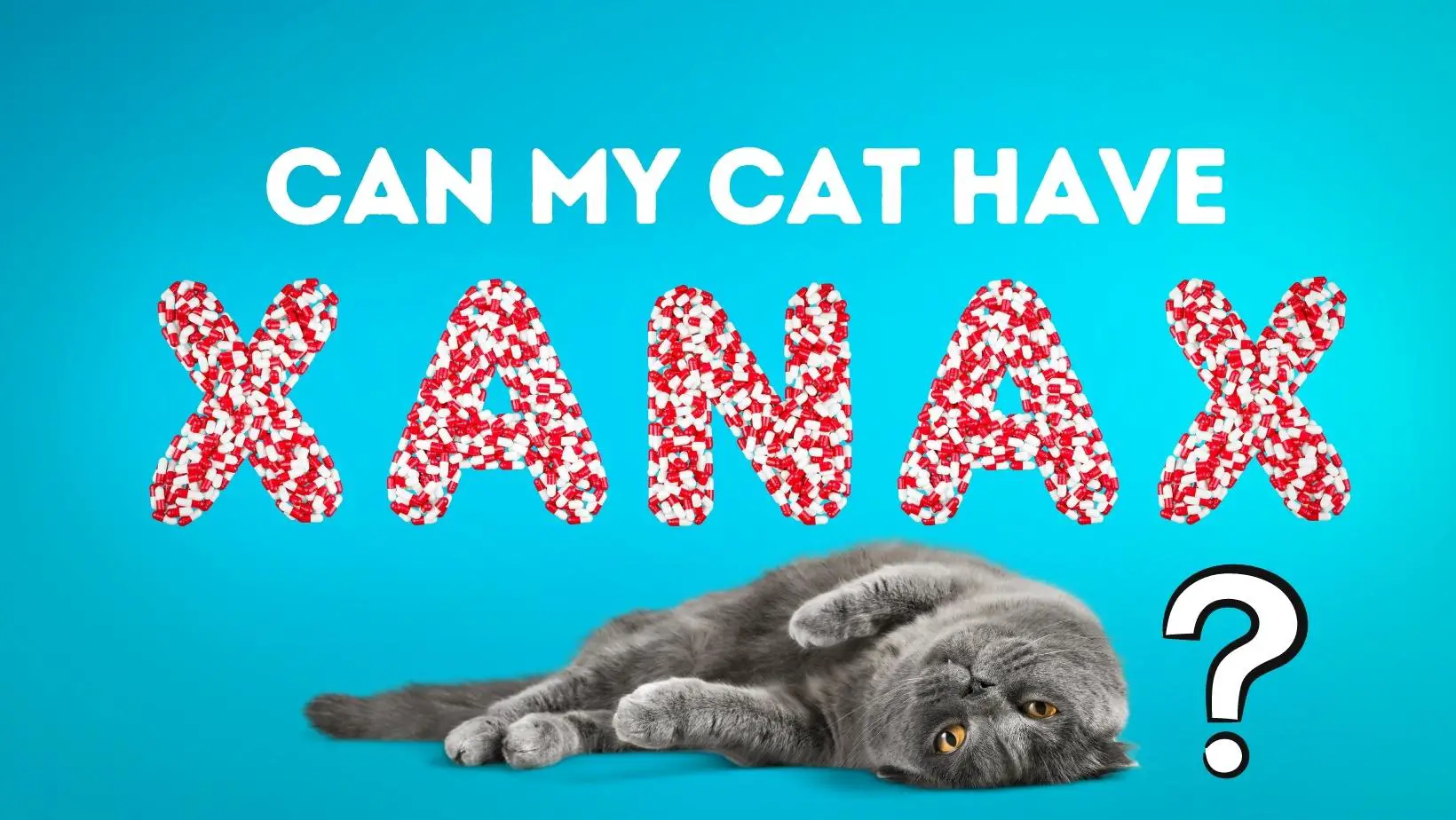 Can My Cat Have Xanax?