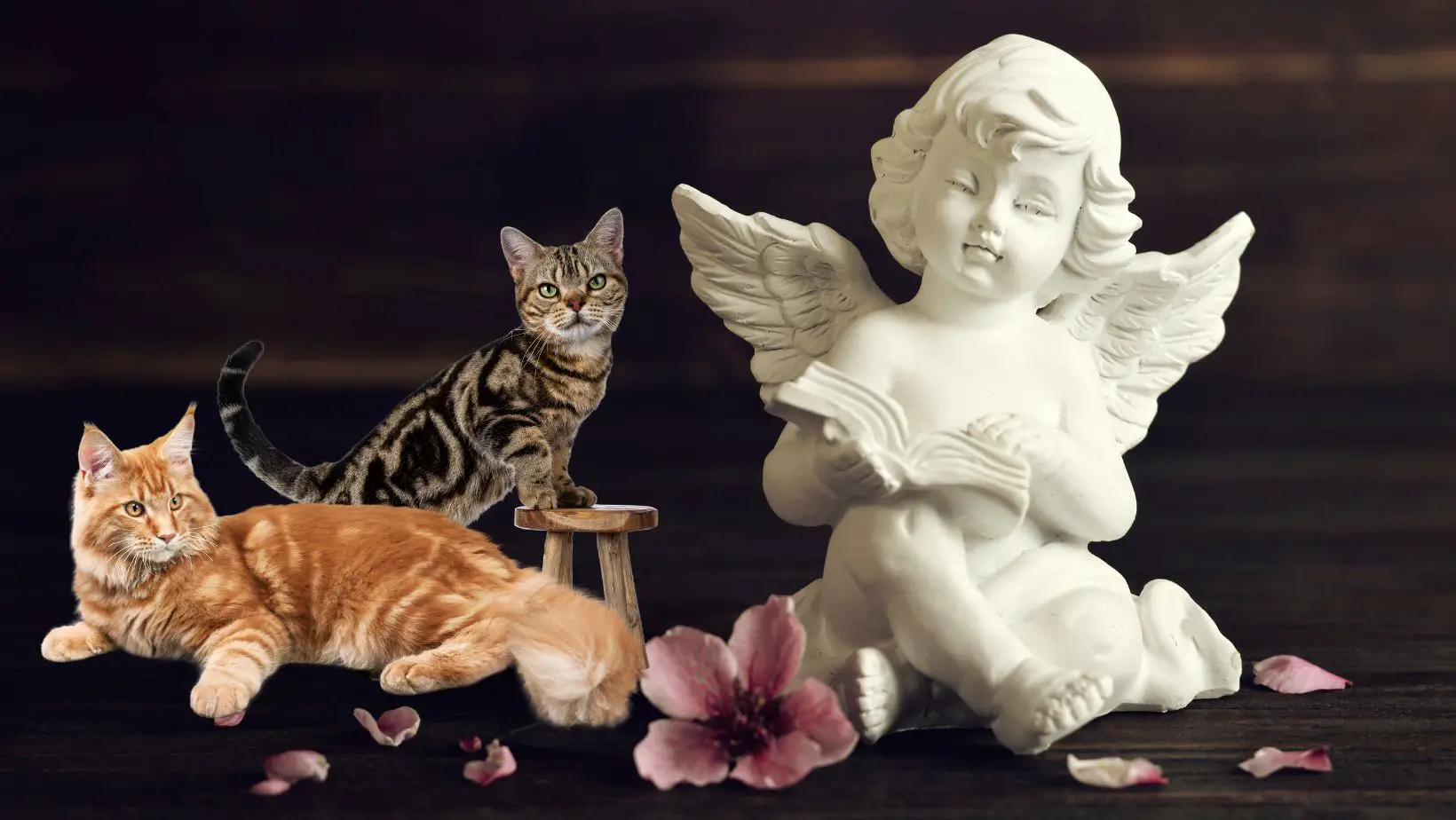 Can Cats See Guardian Angels?