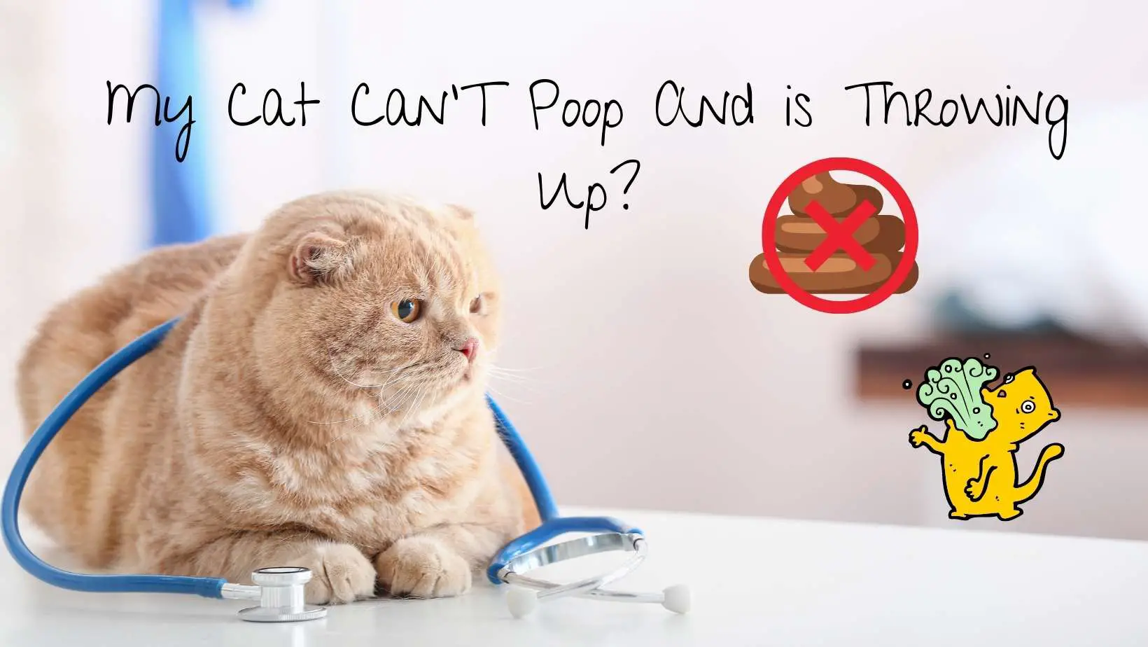 My Cat Can't Poop And is Throwing Up?