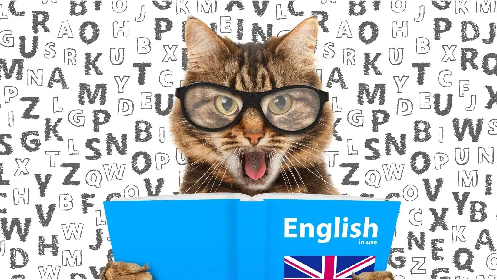 Do Cats Understand English?
