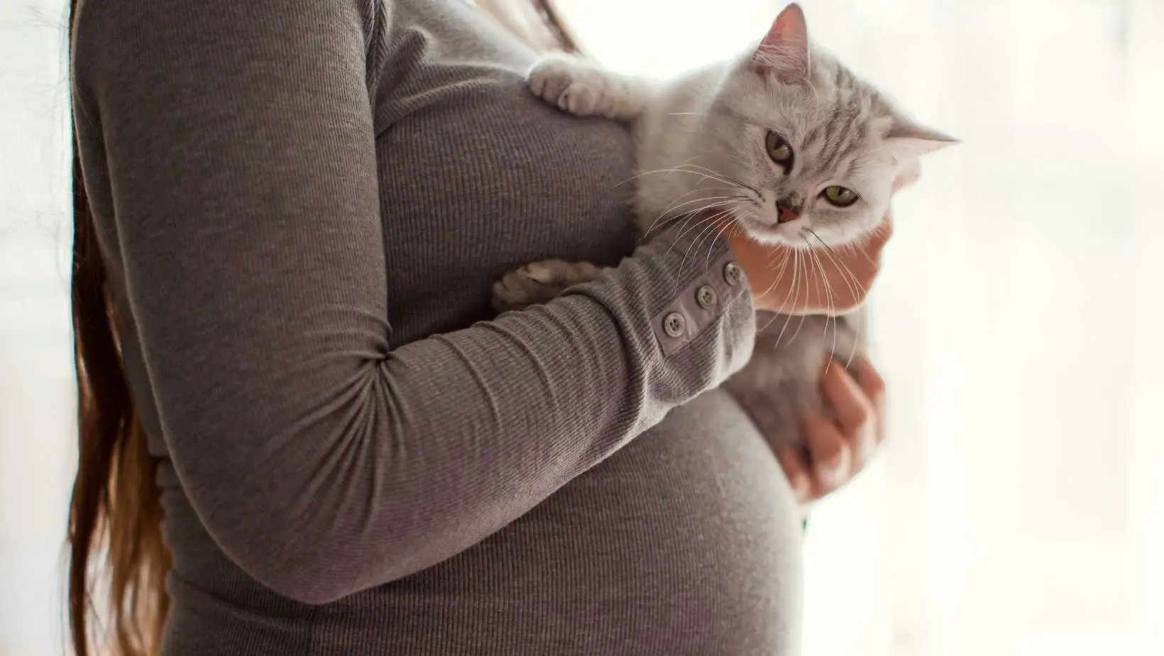 Do Cats Know When You Are Pregnant?