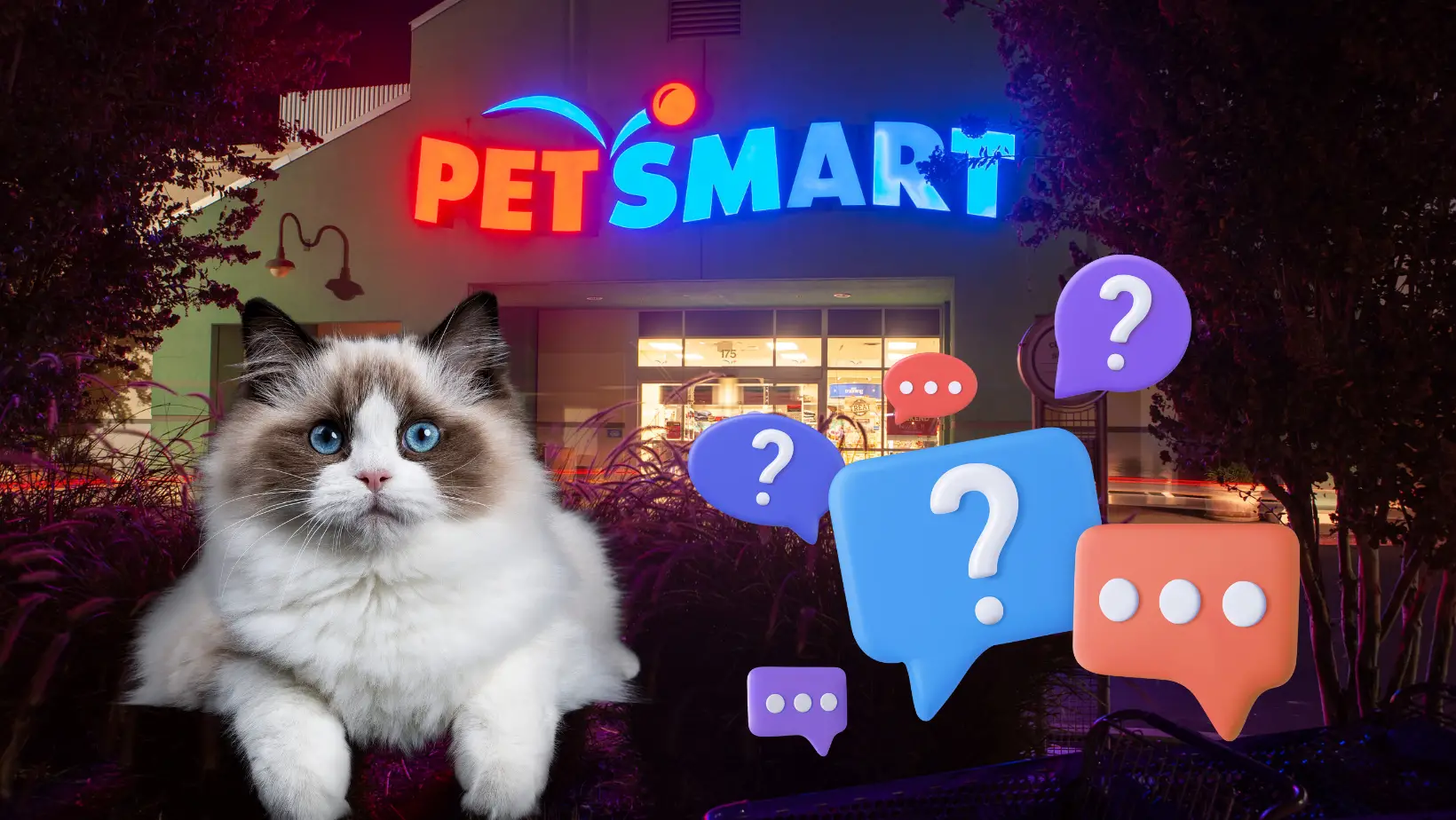 Does Petsmart Take Cats?