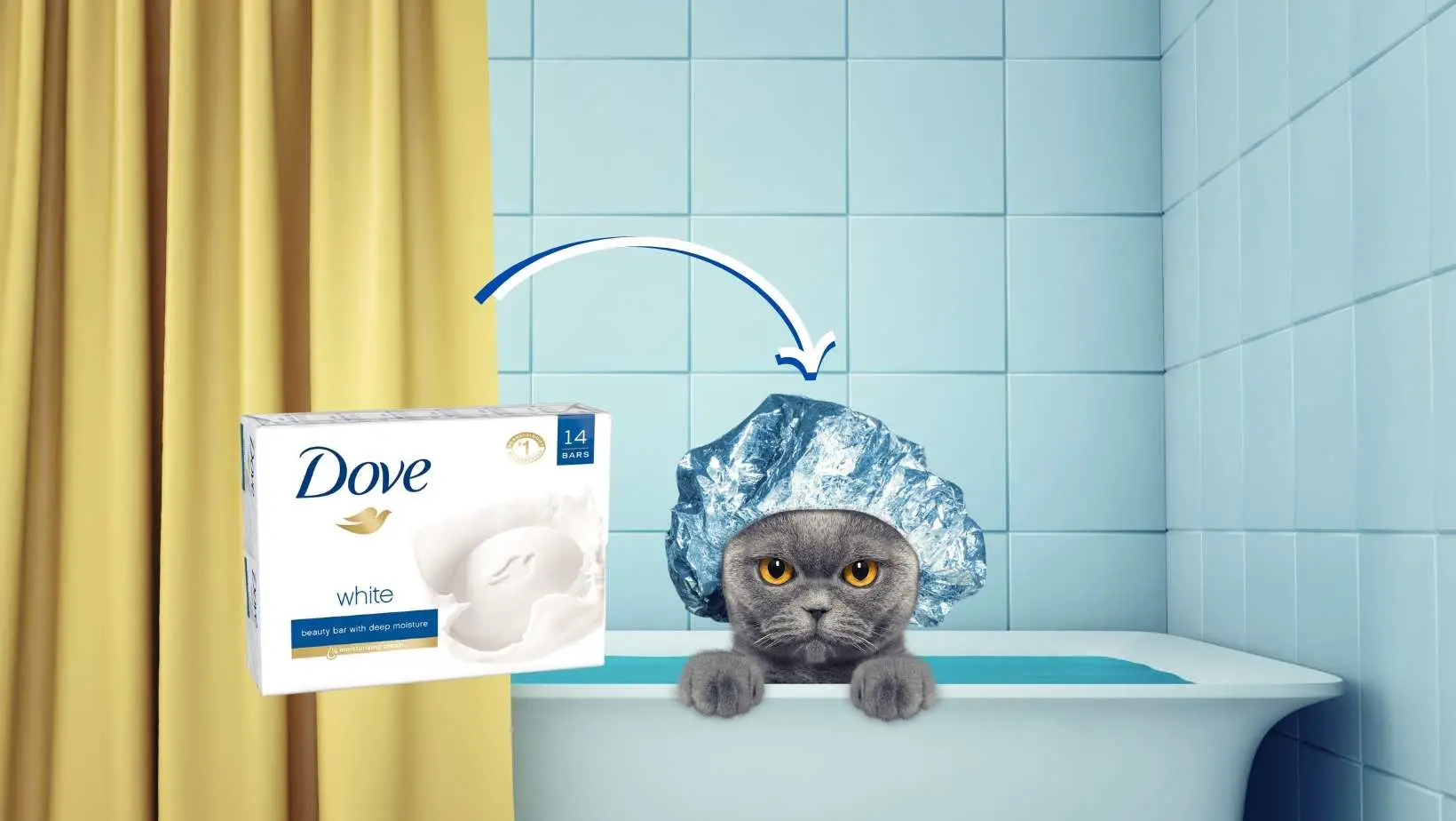 Can I Use Dove Soap on My Cat?