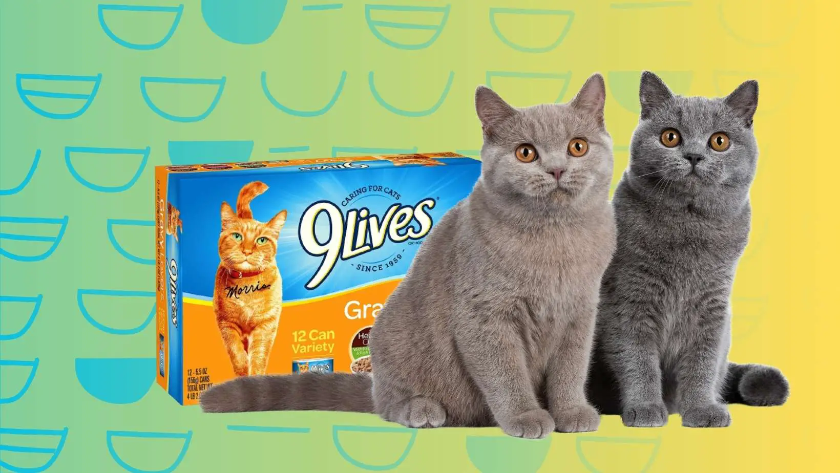 Is 9 Lives a Good Cat Food?