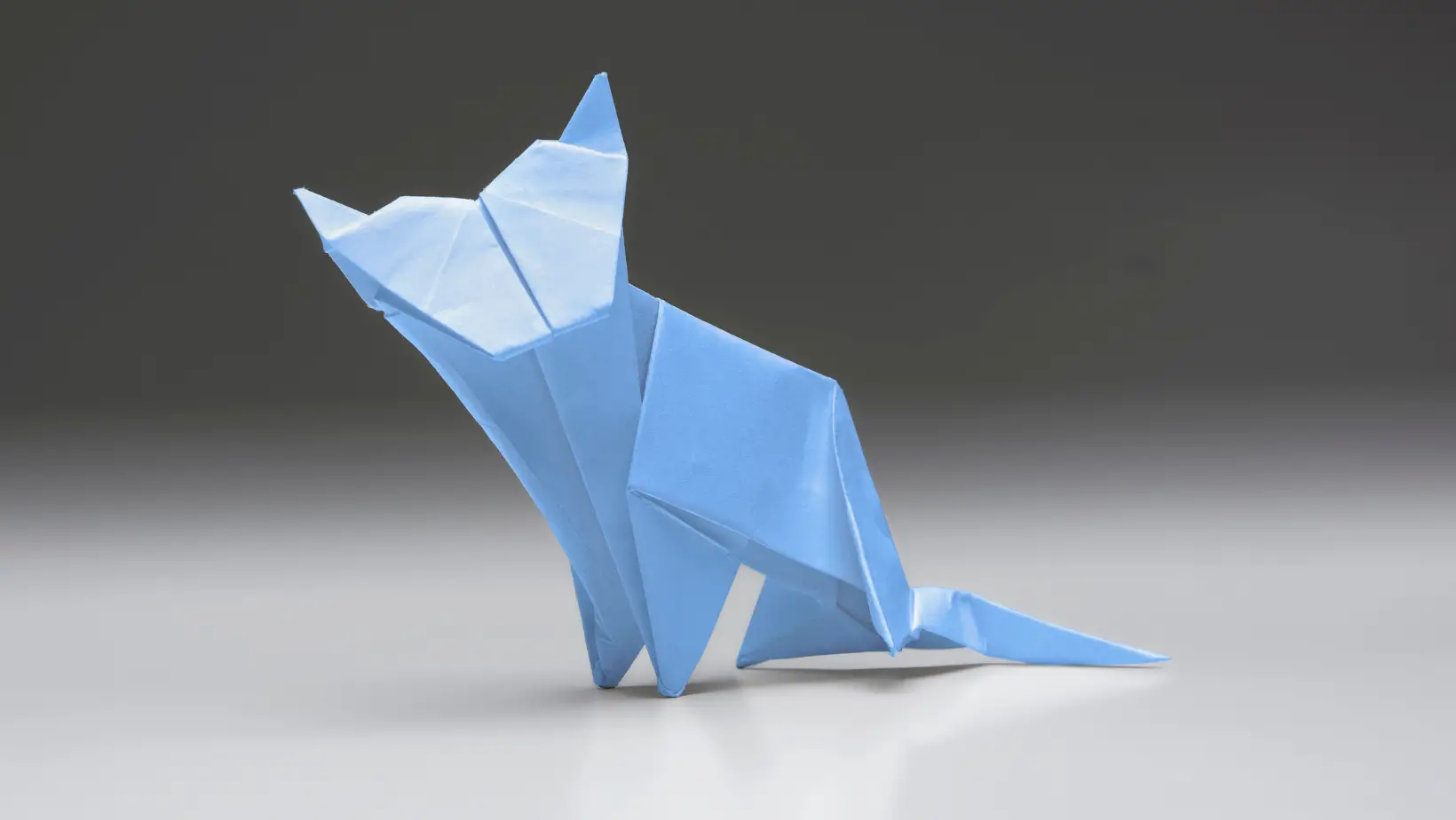 How to Make a Origami Cat?
