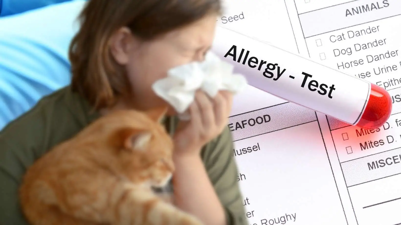How to Test for Cat Allergy at Home?