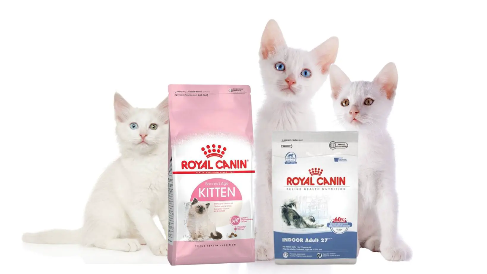 Is Royal Canin Good Cat Food?