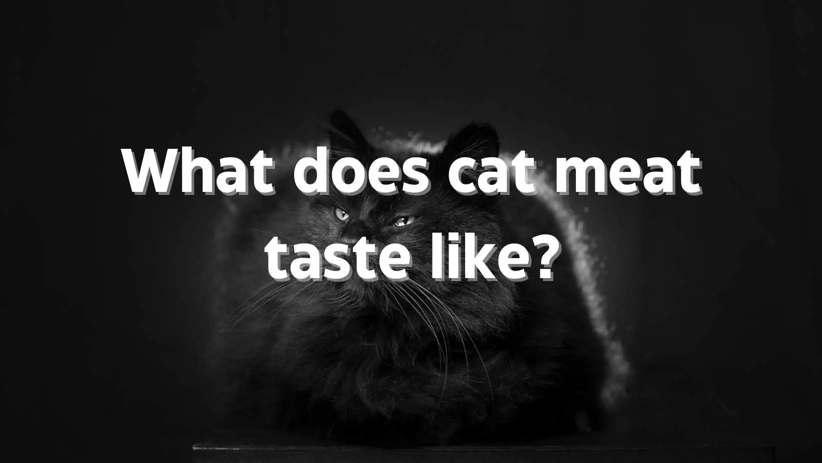 What does cat meat taste like?