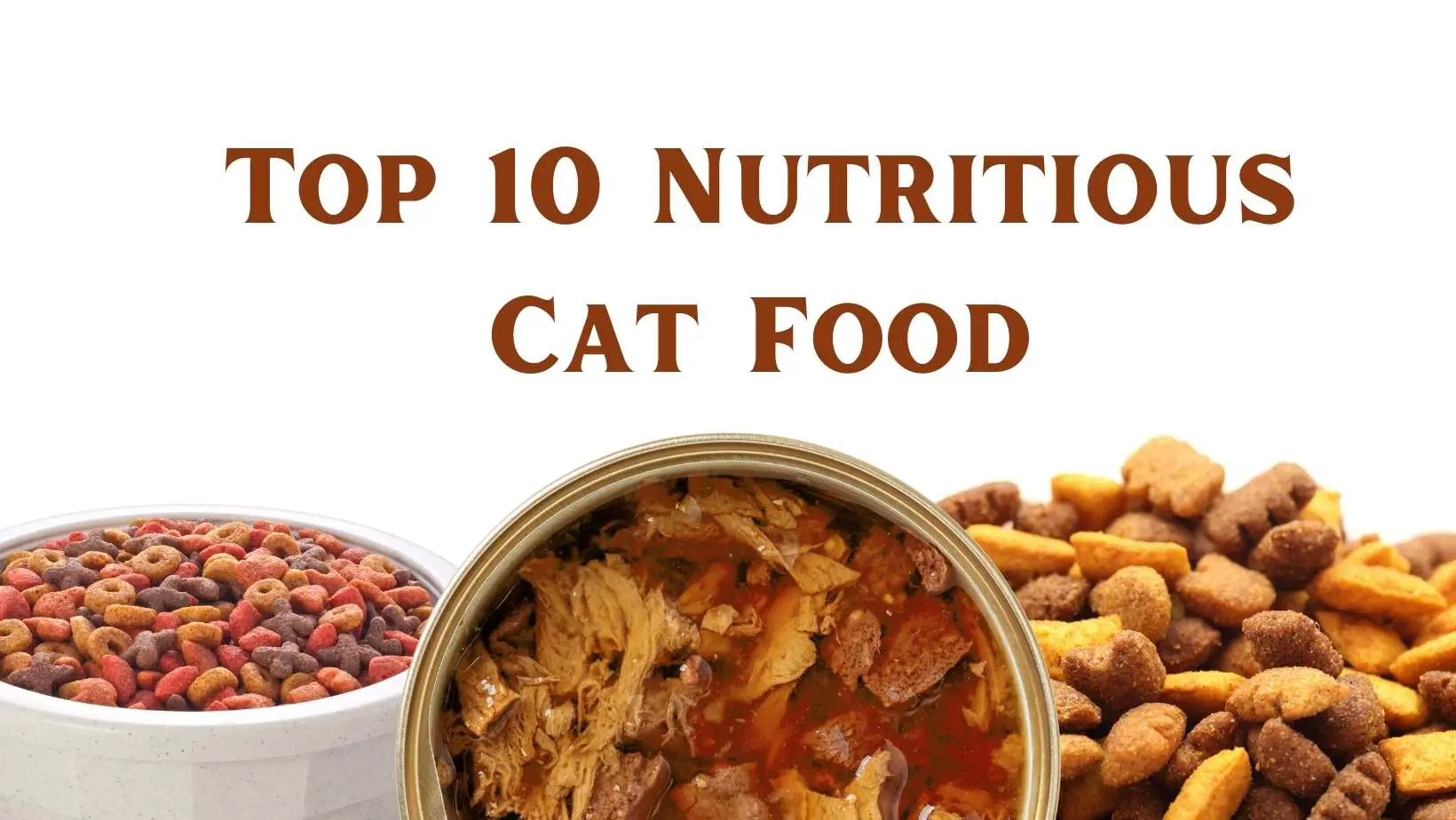 Top 10 Nutritious Cat Food