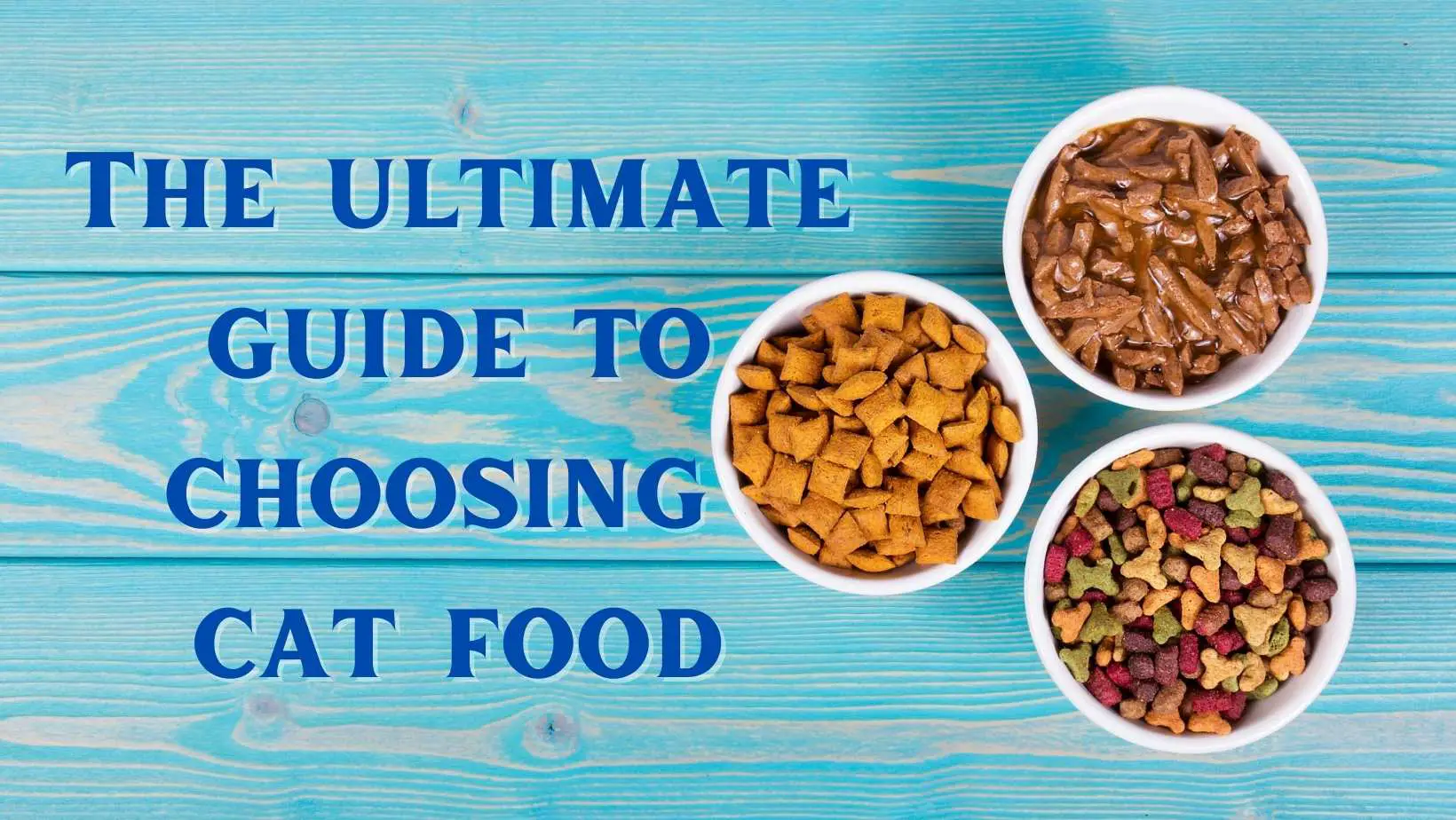 The ultimate guide to choosing cat food. | Cat Food