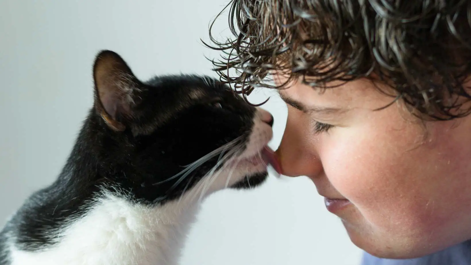 What does it mean if your cat licks you? Why It Matters/What does it mean if my cat licks me?