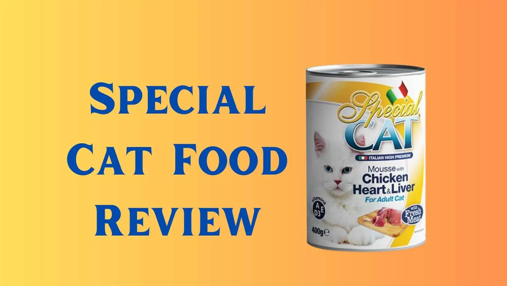 Special Cat Food Review