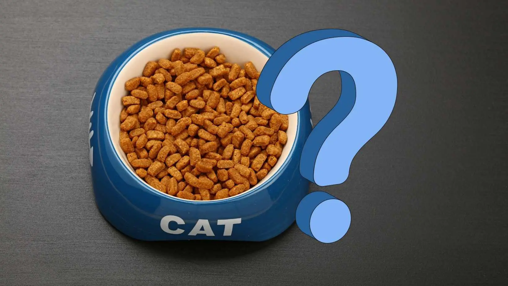 What You Need to Know About Cat Food