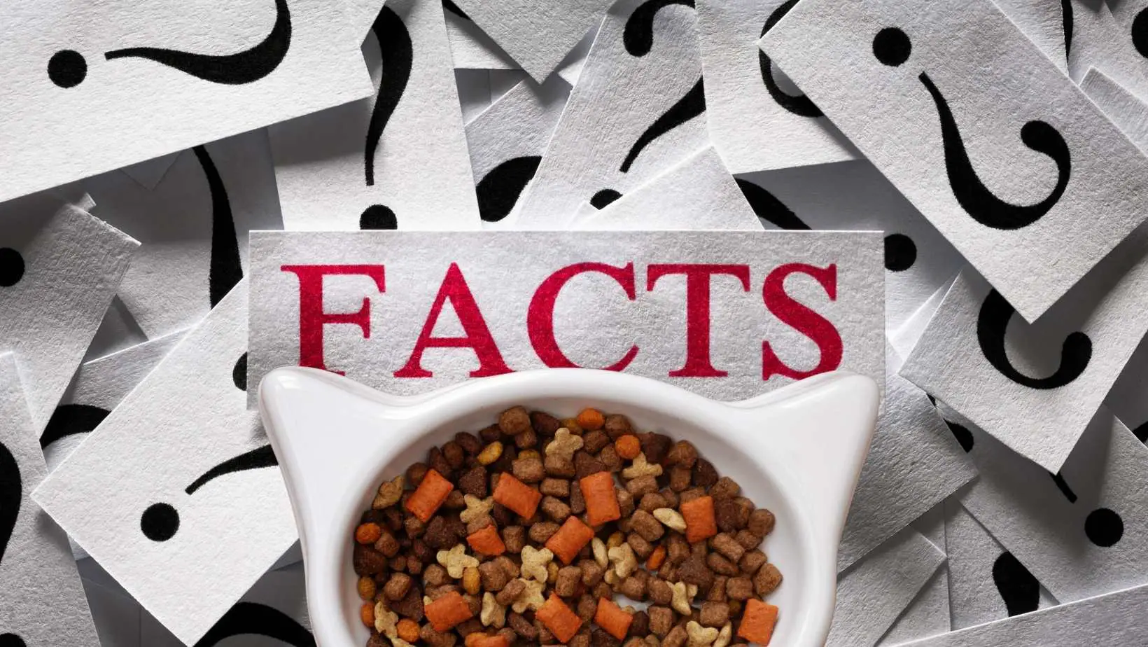 Cat Food Facts You Should Be Aware Of