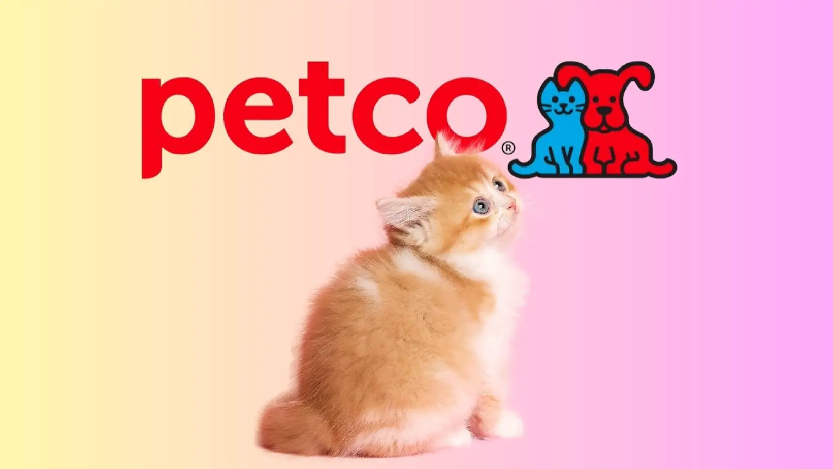 Does Petco Sell Cats?