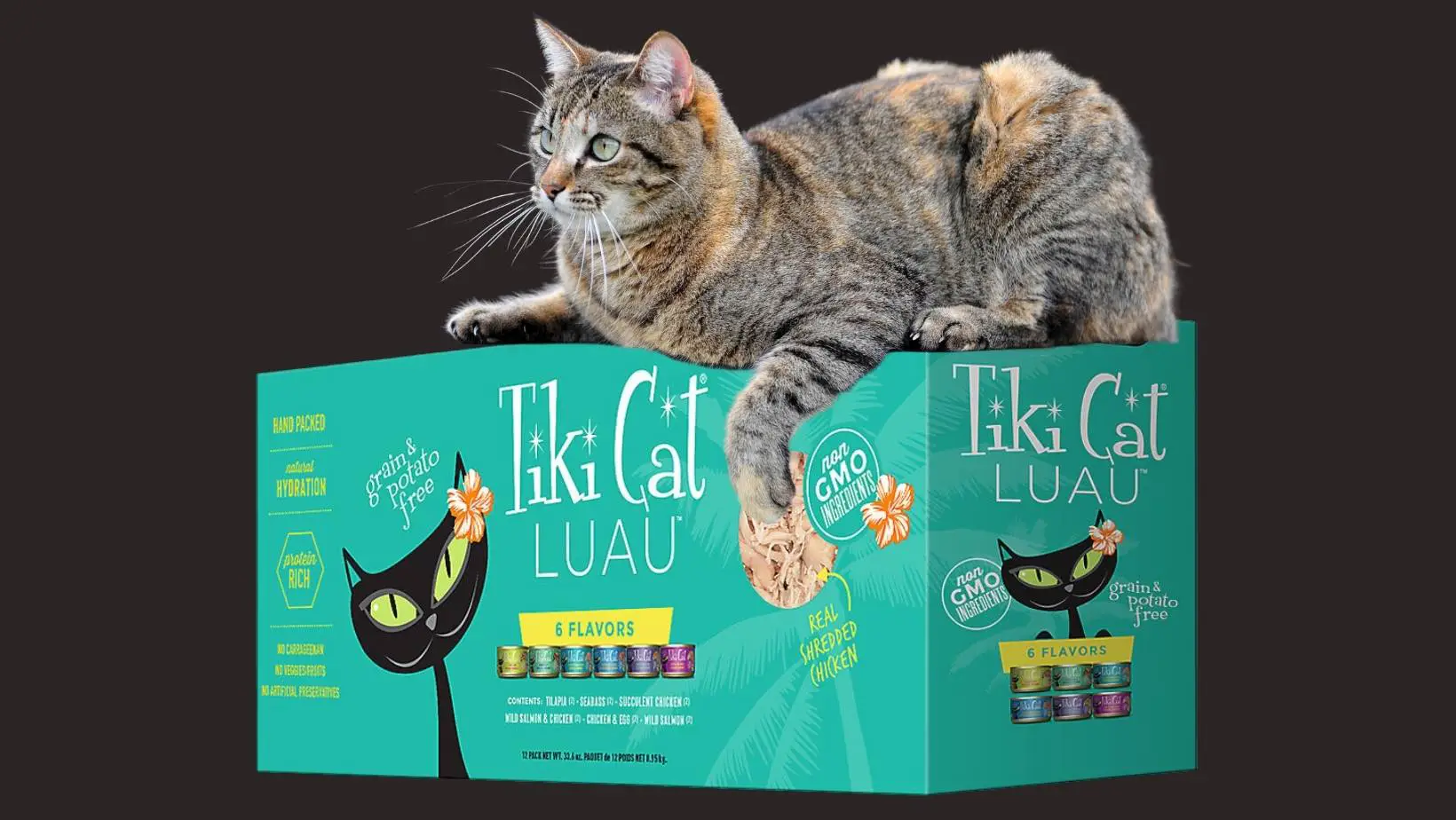 Is Tiki Cat a Good Cat Food?