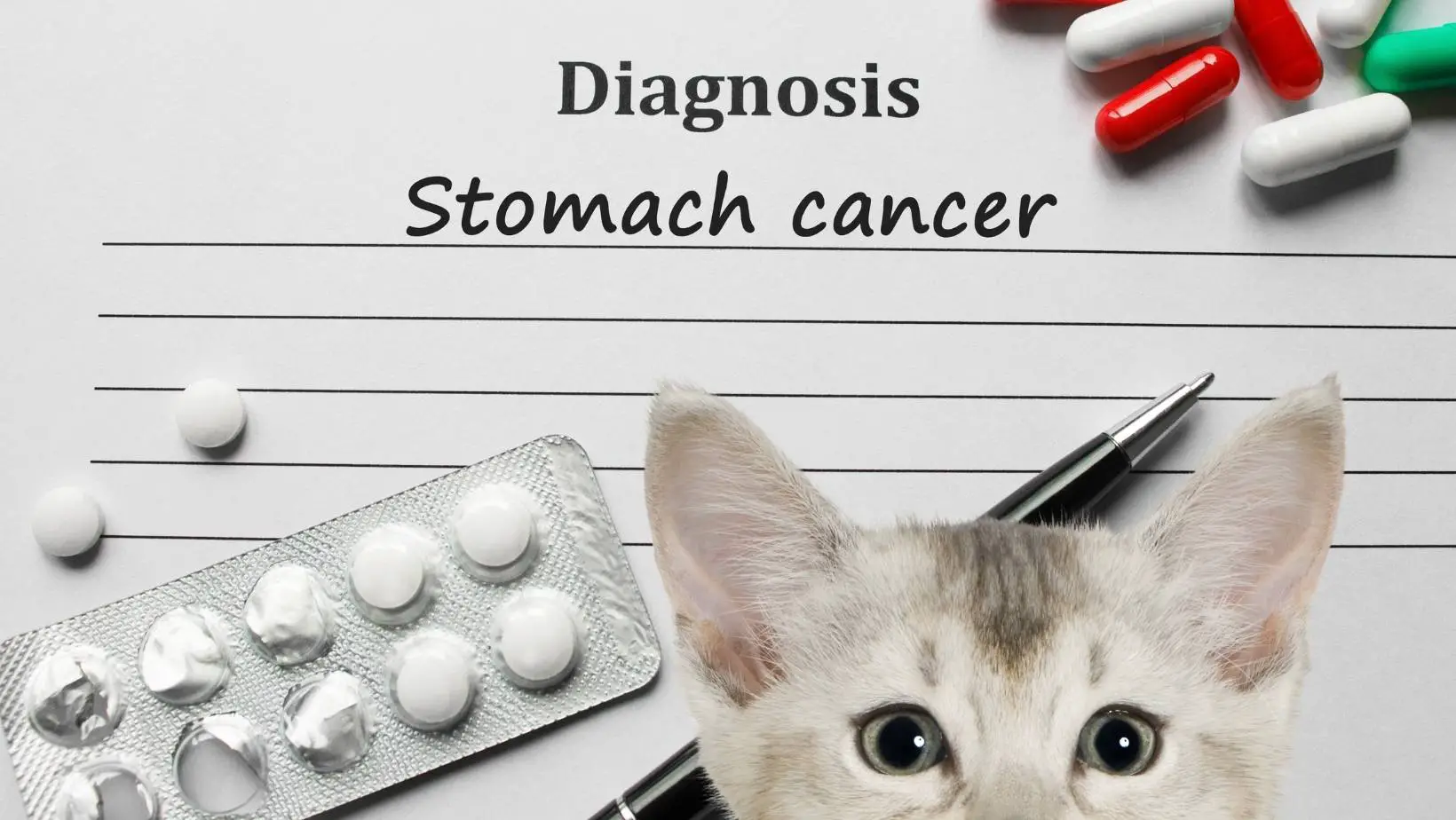 Can Cat Scan Detect Stomach Cancer?