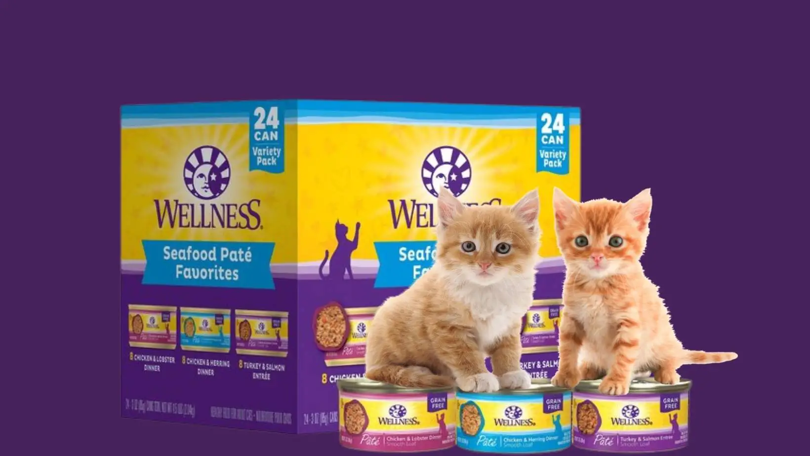 Is Wellness a Good Cat Food?