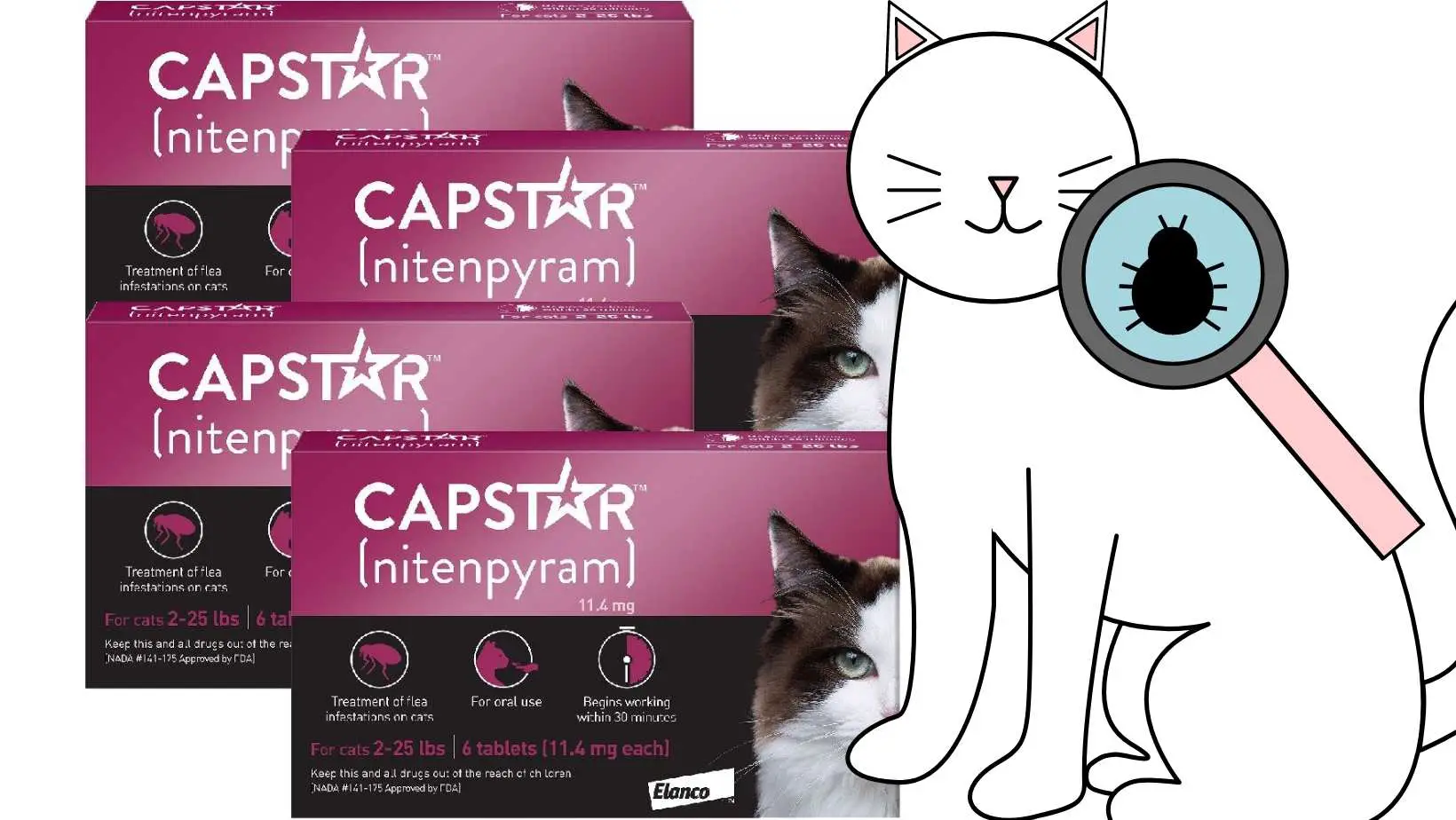 Is Capstar Safe for Cats?